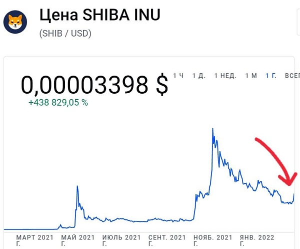 Мемная криптовалюта Shiba Inu выросла за день на 50%