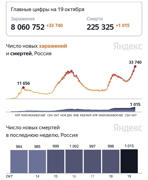 Смертность от коронавируса обновила новый максимум
