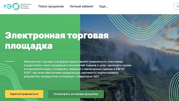 Биржа Вторсырья, электронная торговая площадка Российского экологического оператора, оказалась очень востребованной у игроков отрасли обращения с отходами