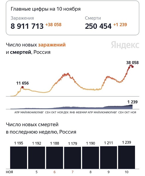 Смертность от коронавируса поставила новый рекорд - 1239 умерших за сутки