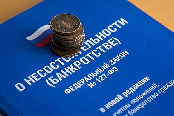 Стоимость процедуры банкротства для физических лиц в 2024 году: полный разбор